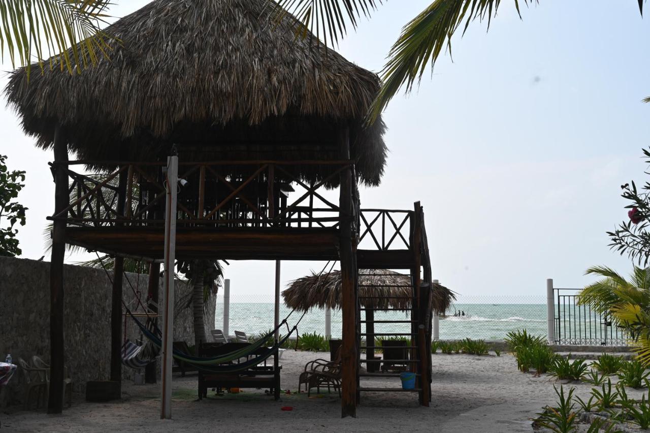 La Casa Del Mexicano Celestun Exterior foto